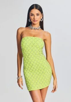 Felicity Embellished Chiffon Dress -Retrofete Sales Store Ecommerce Crop 230321 RETROFETE SET1 Shot 06 1114 eComm