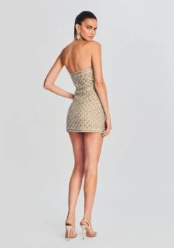 Heather Embellished Dress -Retrofete Sales Store Ecommerce Crop 230510 RETROFETE SET1 6460 eComm