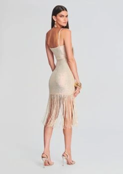 Nalu Sequin Crochet Dress -Retrofete Sales Store Ecommerce Crop 230510 Set2 SHOT 21 2520 eComm