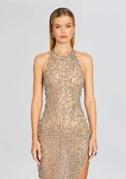 Audacia Embellished Dress -Retrofete Sales Store Ecommerce Crop 24 01 10 AUDACIADRESS SILVER 0885 ECOMM