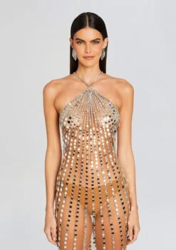 Maris Embellished Dress -Retrofete Sales Store Ecommerce Crop 24 01 10 MARISDRESS TANNIN 0274 ECOMM