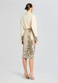 Brelan Embellished Skirt -Retrofete Sales Store Ecommerce Crop 24 02 29 OZELLASHIRT BRELANSKIRT CHAMPAGNEDUST 1103 ECOMM 99bd0396 48cb 4dc1 a076 a2eb0390e872
